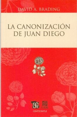 Tapa de La canonización de Juan Diego
