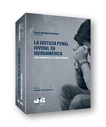 Tapa de La justicia penal juvenil en Iberoamérica : libro homenaje a D. Elías Carranza