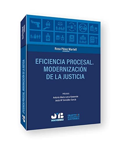Tapa de Eficiencia procesal : modernización de la justicia