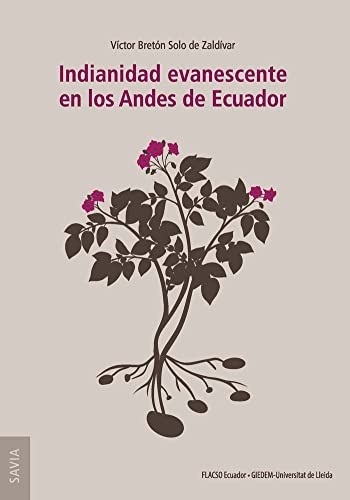Tapa de Indianidad evanescente en los Andes de Ecuador