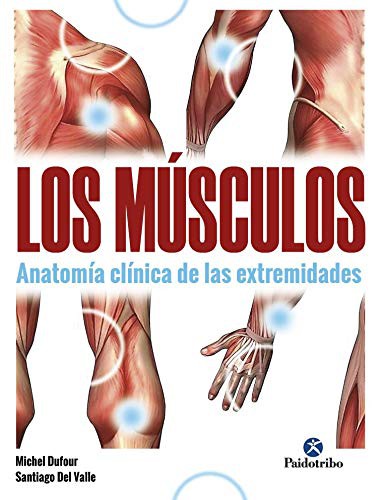 Tapa de Los músculos : anatomía clínica de las extremidades, fichas ilustradas