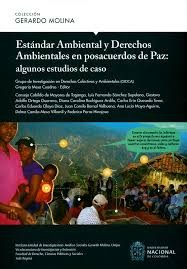 Tapa de Estándar ambiental y derechos ambientales en posacuerdos de paz : algunos estudios de caso